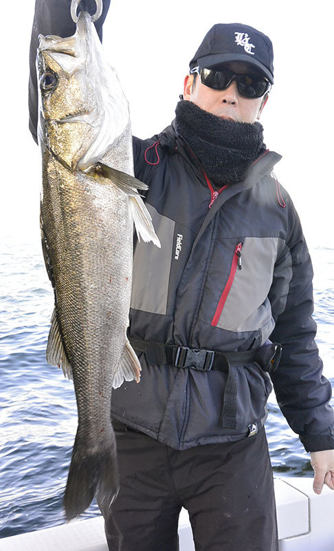 シーバス(スズキ)