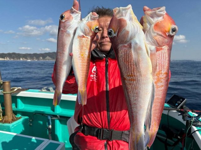 アマダイ(アカアマダイ)