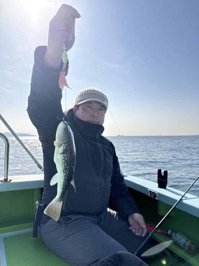 フグ(ショウサイフグ)