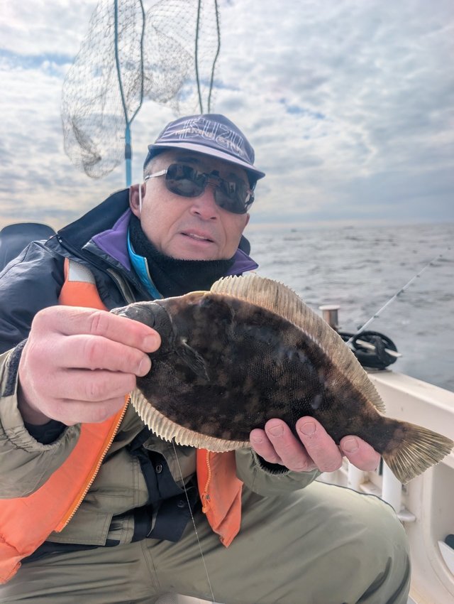 カレイ(マコガレイ)