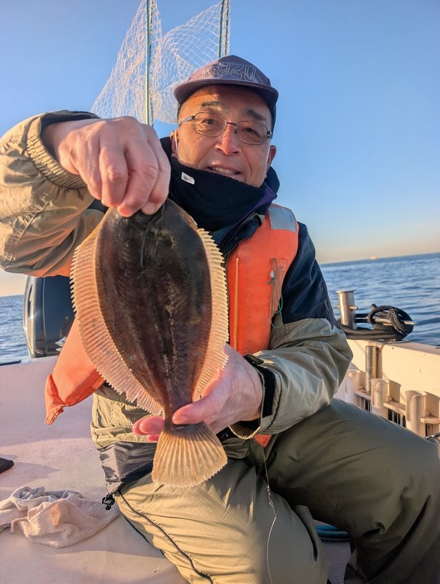 カレイ(マコガレイ)