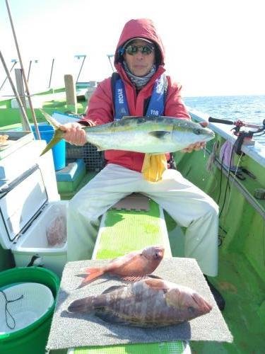 マダイ・ハタ(マハタ)