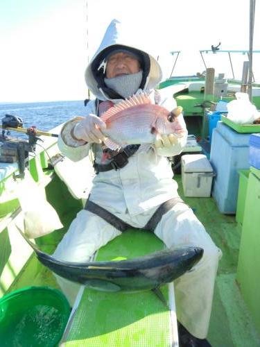 マダイ・ワラサ(ブリ)