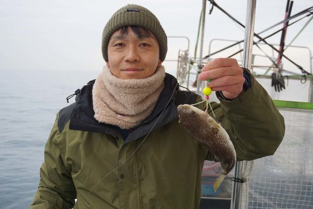 ショウサイフグ