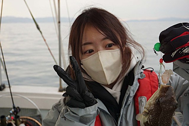 ショウサイフグ