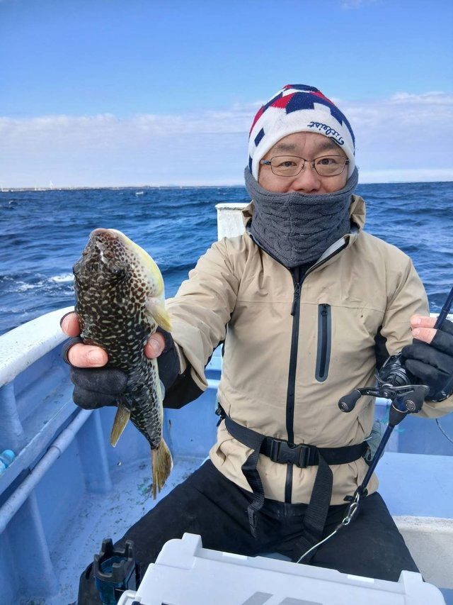 ショウサイフグ