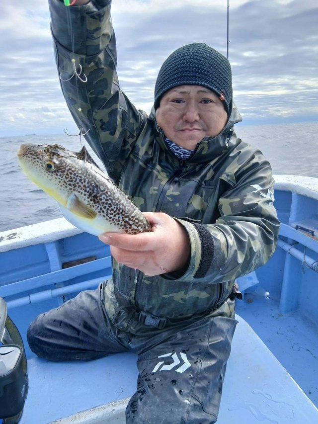 ショウサイフグ