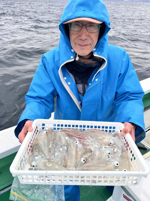 マルイカ(ケンサキイカ)