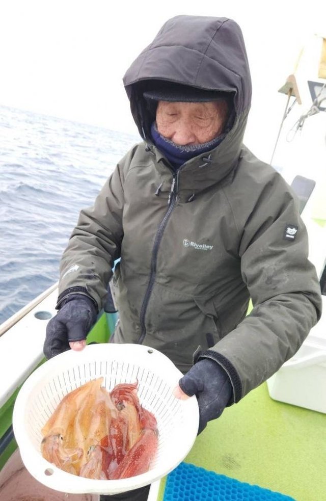 マルイカ(ケンサキイカ)