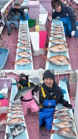 マダイ・イシダイ・ワラサ(ブリ)