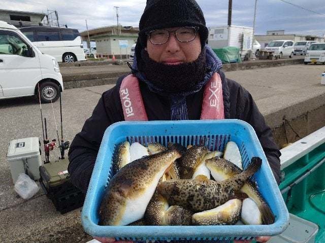 ヒガンフグ・コモンフグ・ショウサイフグ