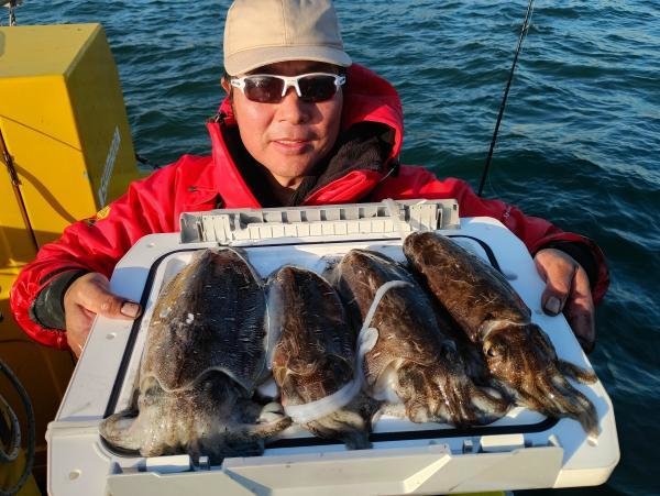 スミイカ(コウイカ)・カミナリイカ