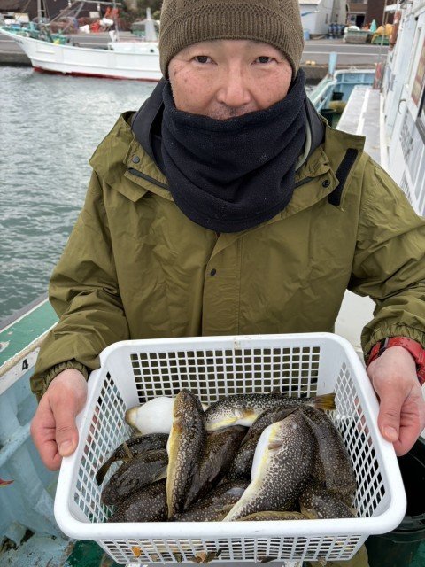 フグ(ショウサイフグ)