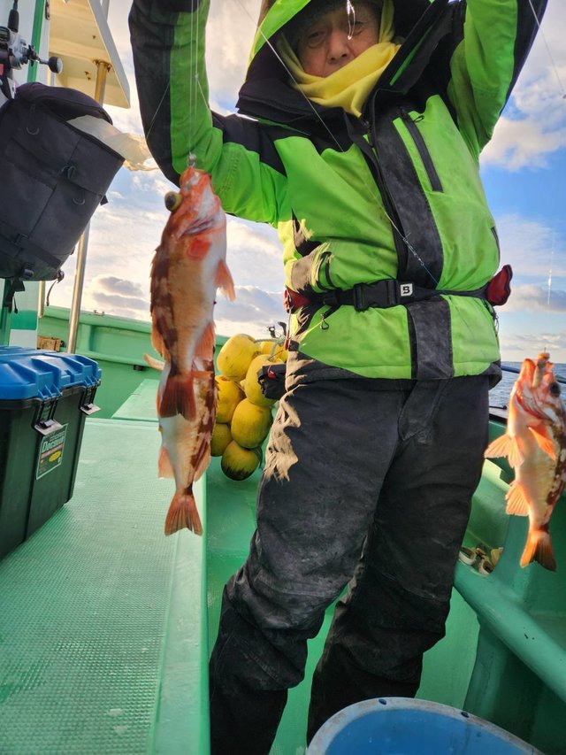 オキメバル(ウスメバル)