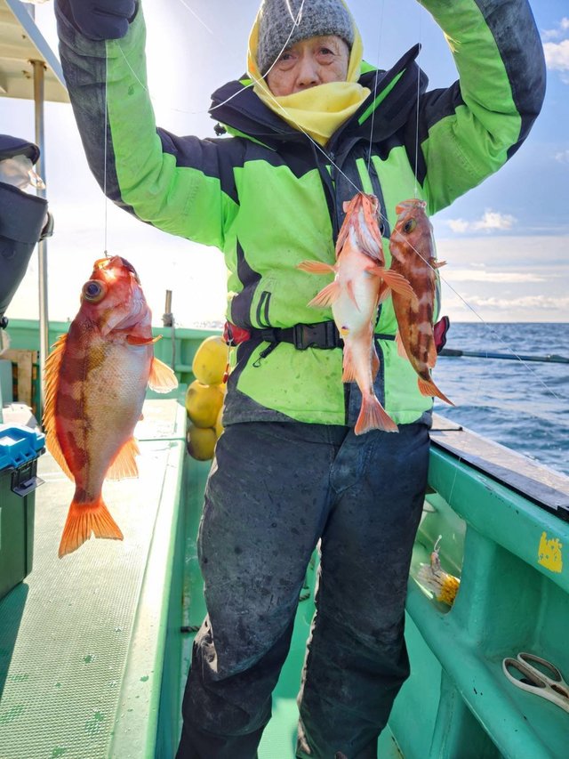 オキメバル(ウスメバル)