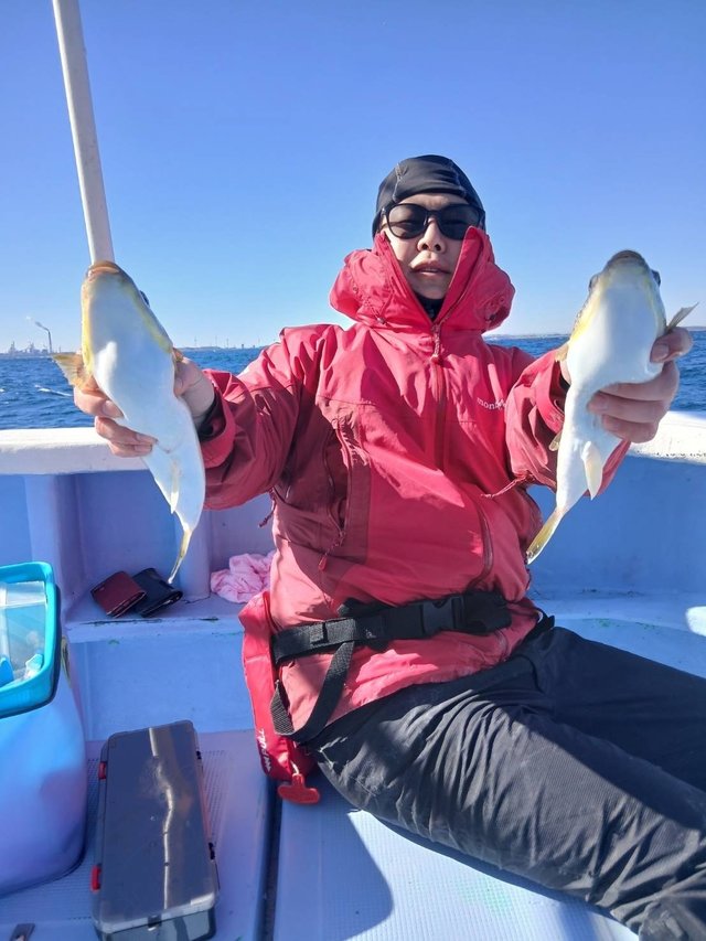 ショウサイフグ