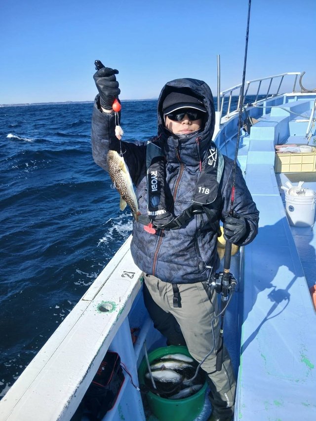 ショウサイフグ