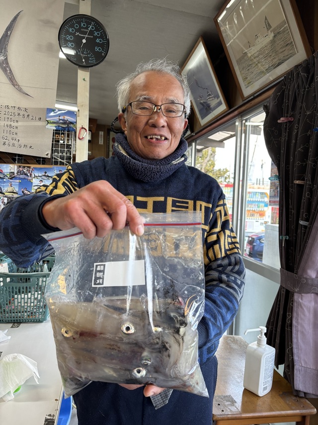 マルイカ(ケンサキイカ)