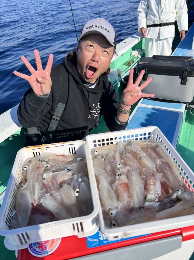 マルイカ(ケンサキイカ)