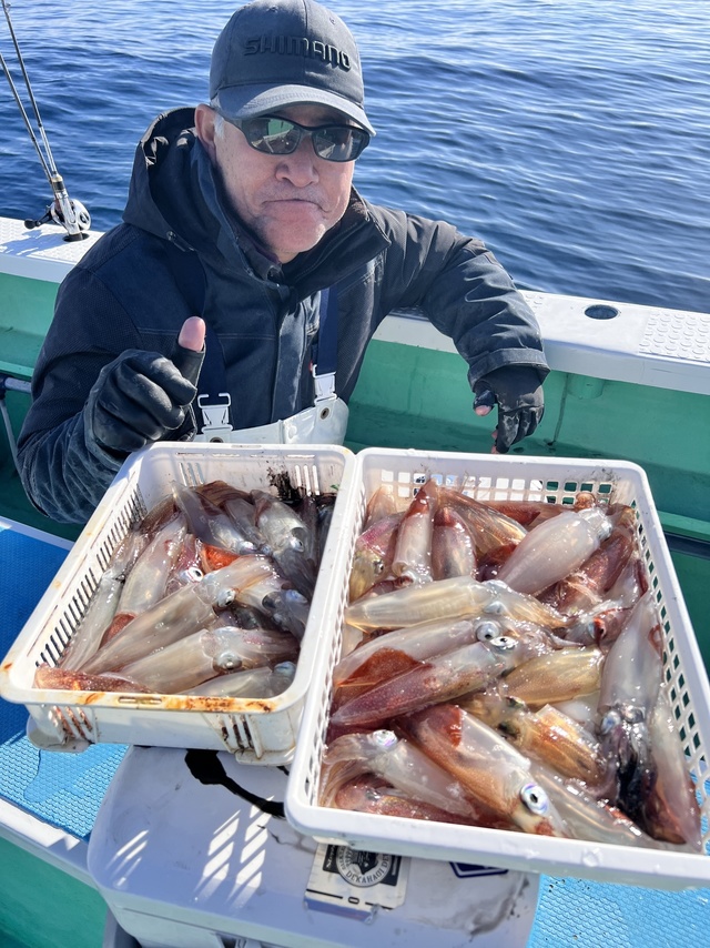 マルイカ(ケンサキイカ)