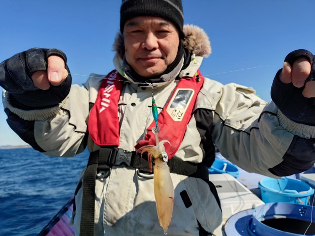 マルイカ(ケンサキイカ)