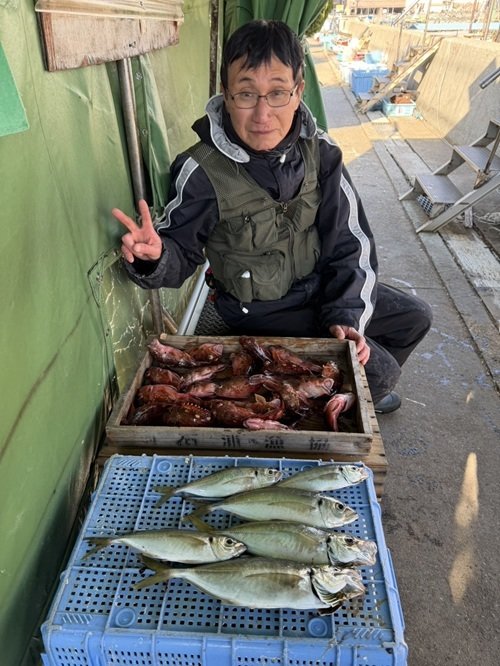 マアジ・ガシラ(カサゴ)