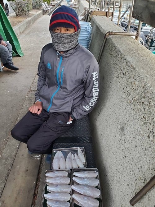 ショウサイフグ