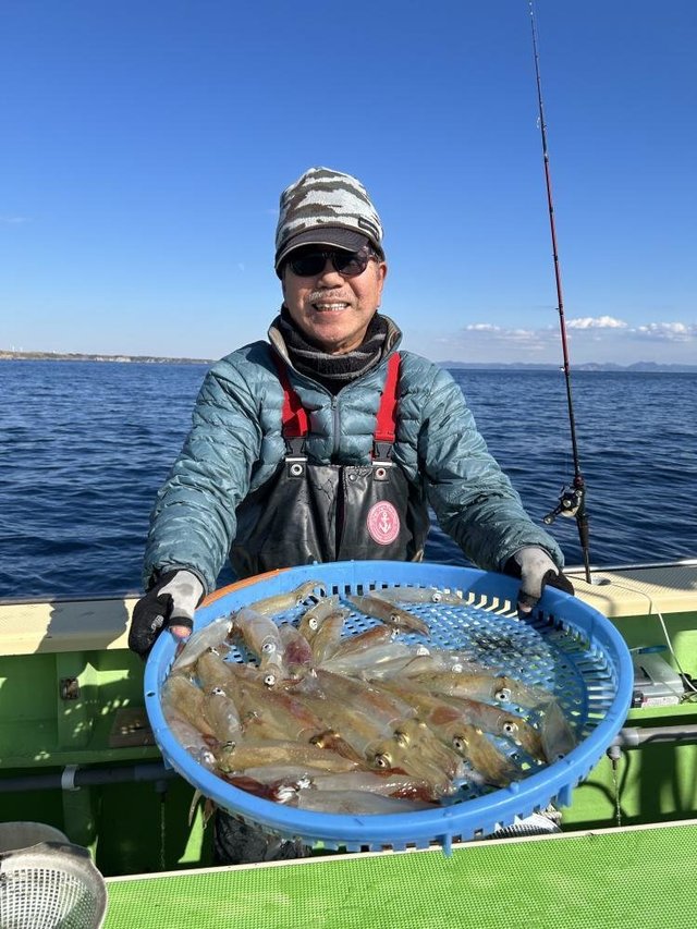 マルイカ(ケンサキイカ)