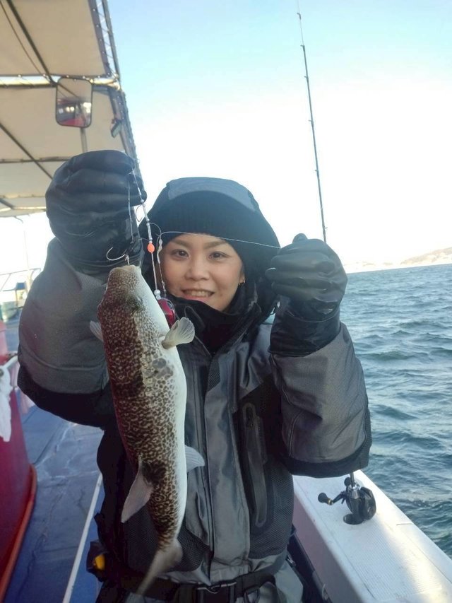 ショウサイフグ