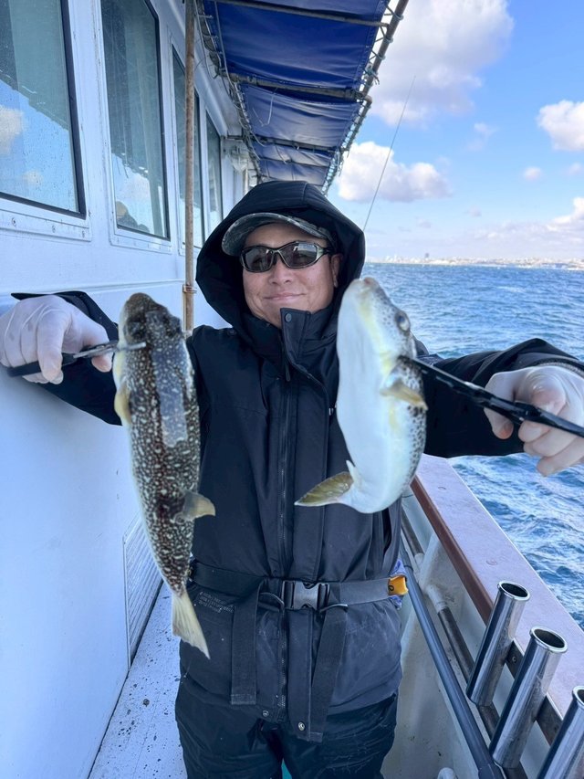 ショウサイフグ