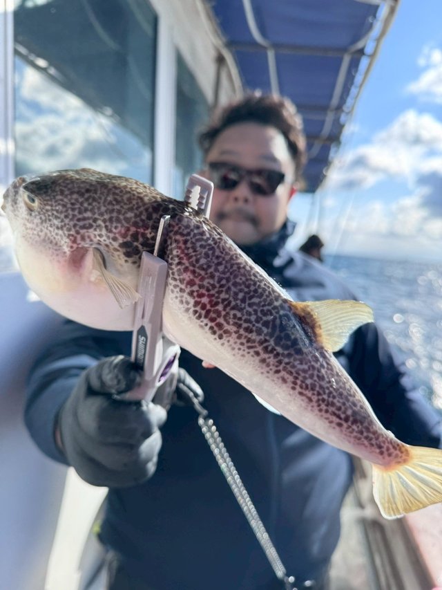 ショウサイフグ