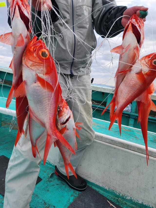 キンメ(キンメダイ)