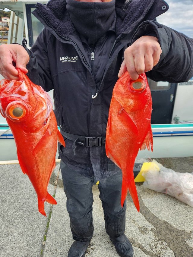 キンメ(キンメダイ)