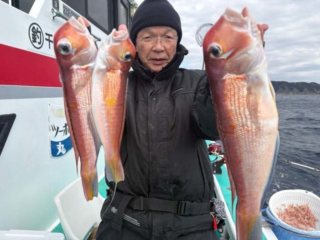 アマダイ(アカアマダイ)