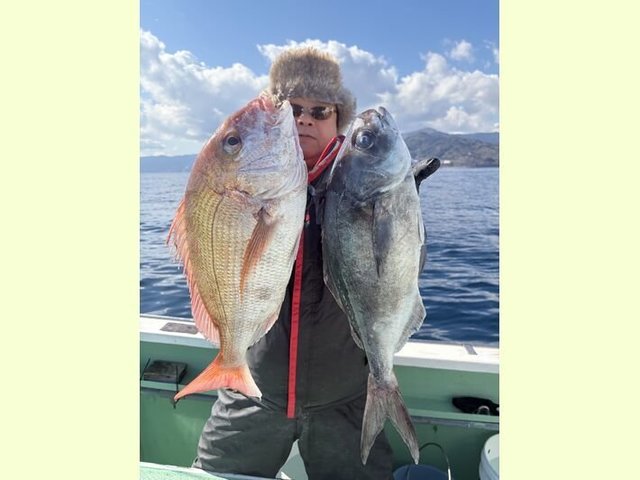 マダイ・メダイ