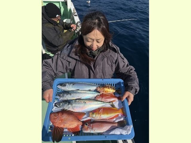 アカイサキ・シキシマハナダイ・アマダイ(アカアマダイ)・キントキ(チカメキントキ)・オキメバル(トゴットメバル)・サバ(ゴマサバ)