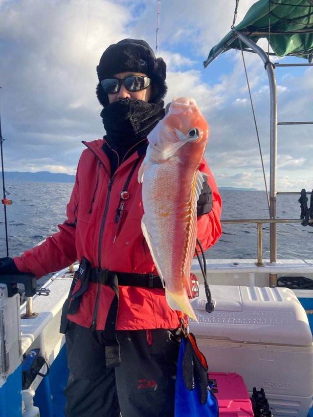 アマダイ(アカアマダイ)