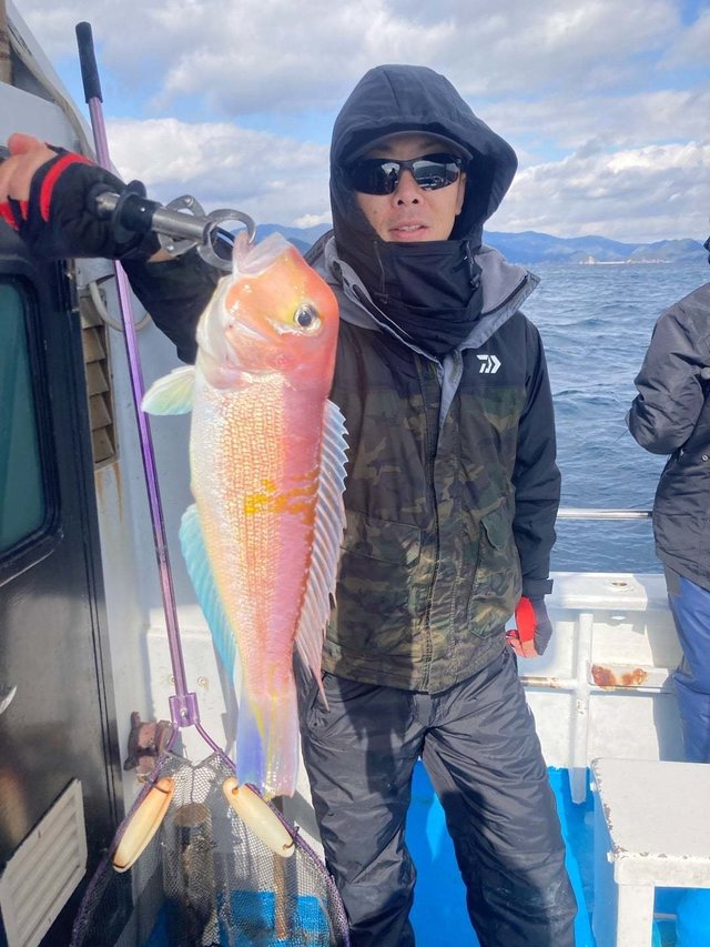 アマダイ(アカアマダイ)