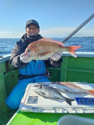 マダイ・クロダイ