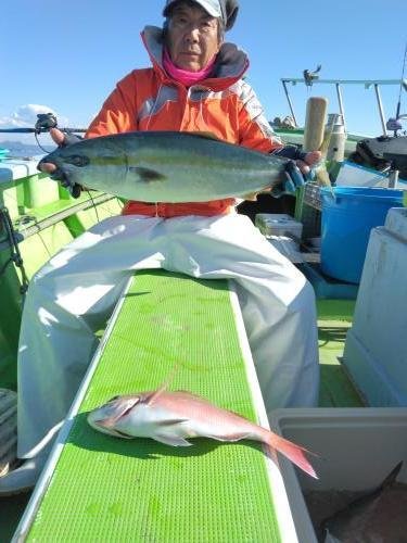 マダイ・ワラサ(ブリ)