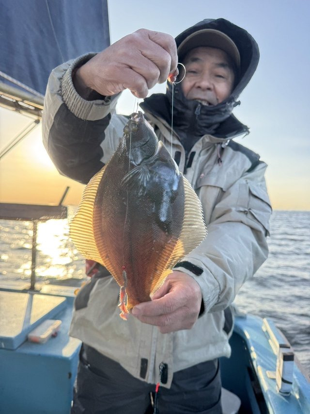 カレイ(マコガレイ)