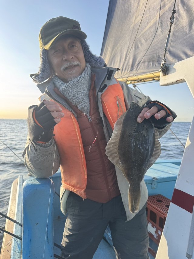 カレイ(マコガレイ)