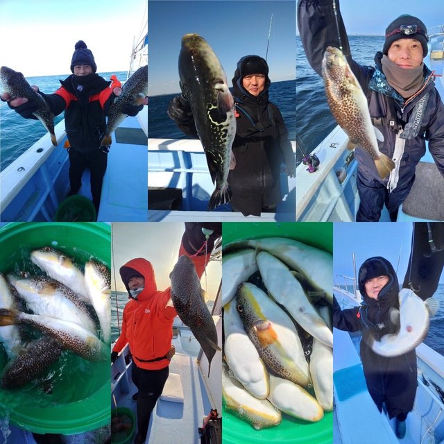 ショウサイフグ