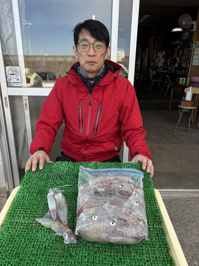 マルイカ(ケンサキイカ)