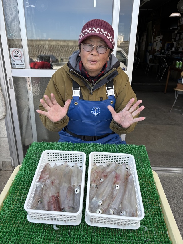 マルイカ(ケンサキイカ)