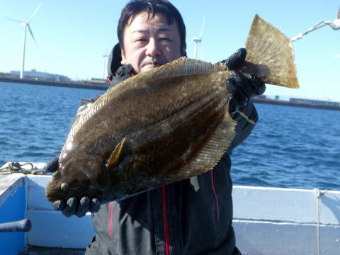 ヒラメ