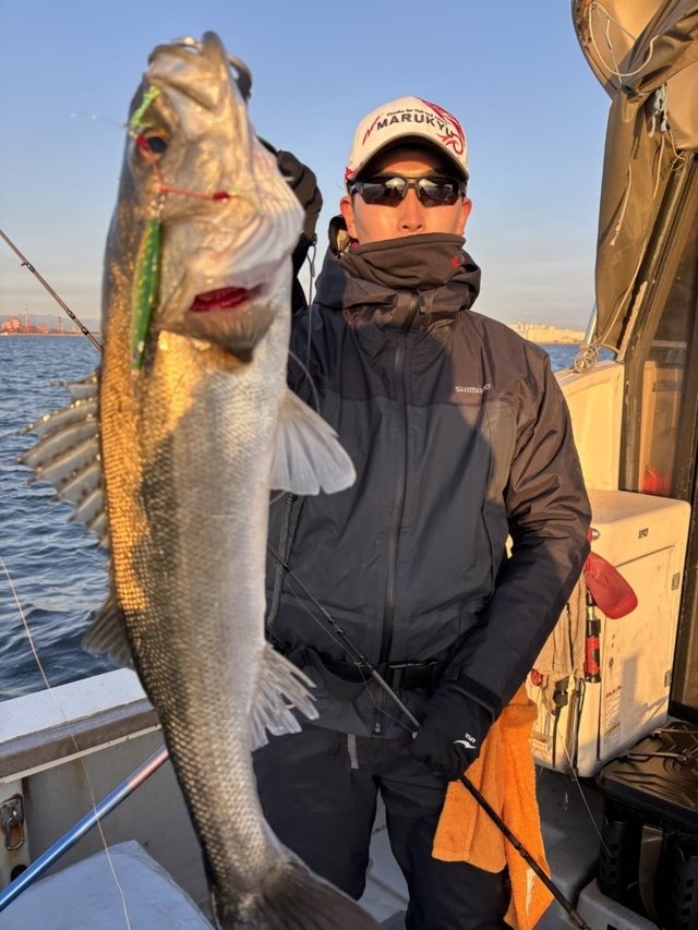 シーバス(スズキ)