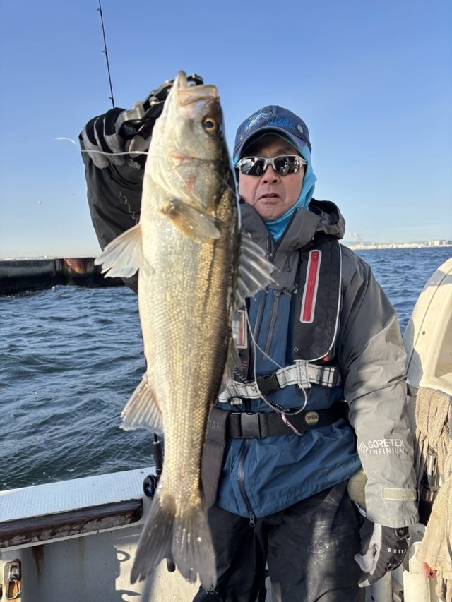 シーバス(スズキ)