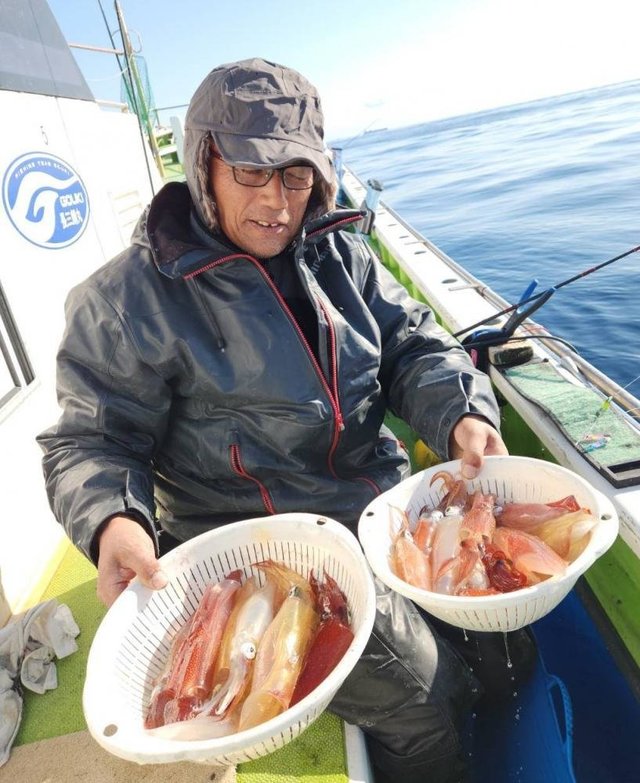 マルイカ(ケンサキイカ)