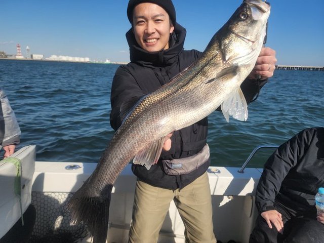 シーバス(スズキ)